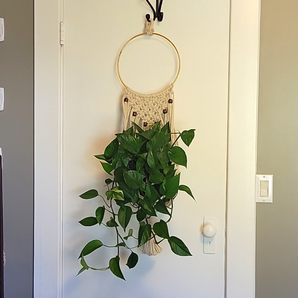 Macrame plant hanger